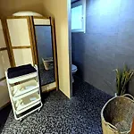 Lila Каркассонн
