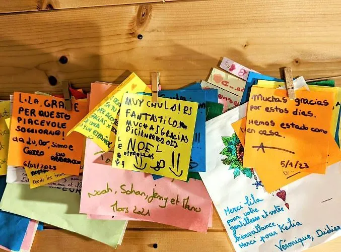 Lila * カルカソンヌ